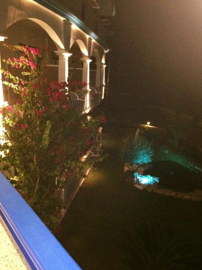 Gogas Palace Lejlighedshotel Ammoudia Eksteriør billede